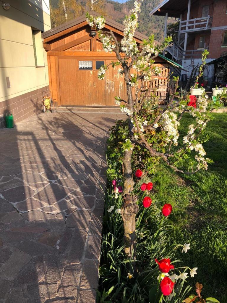 Appartamento Luminoso, Giardino, Vista Dolomiti. Baselga di Pinè Extérieur photo