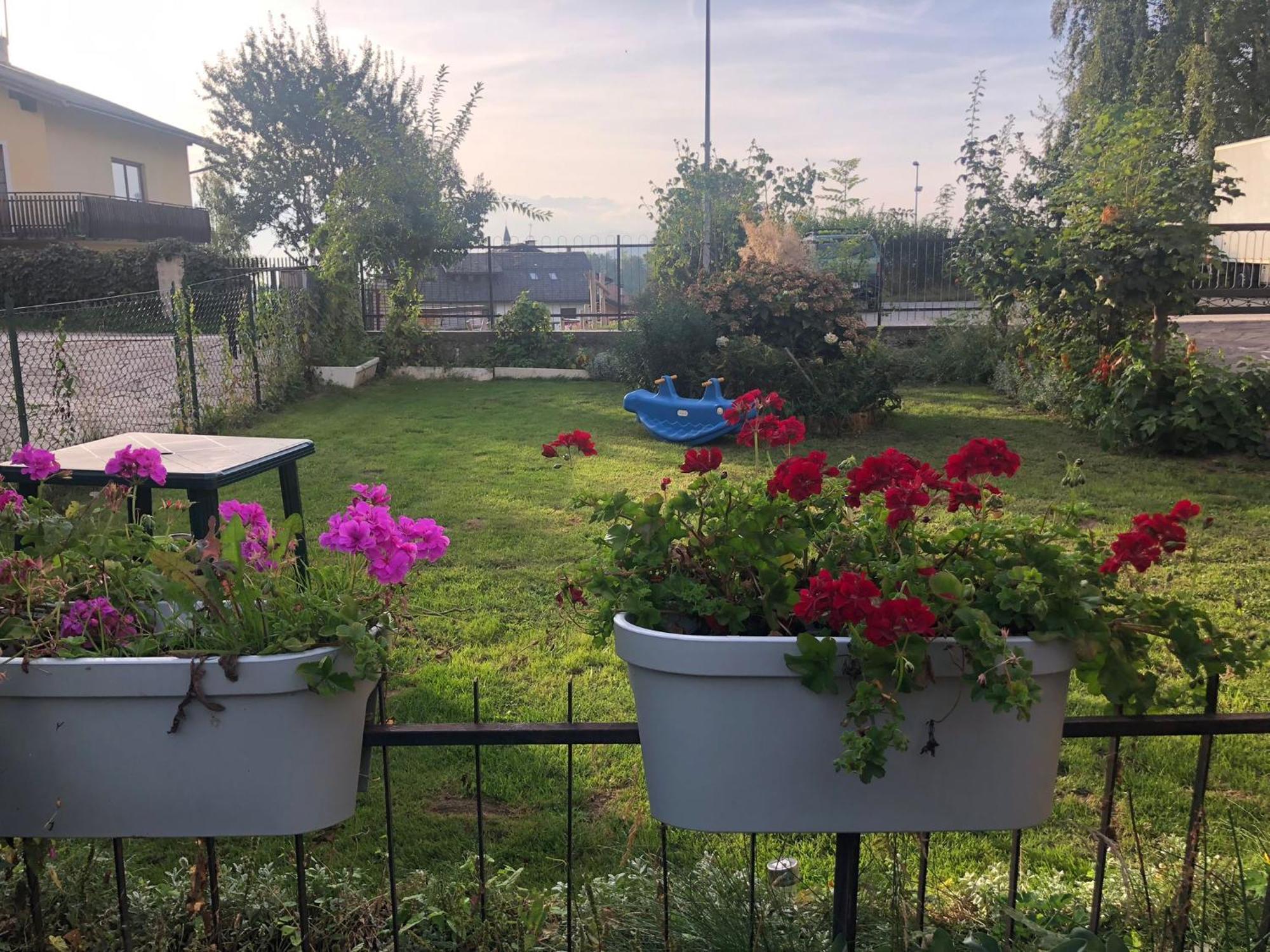 Appartamento Luminoso, Giardino, Vista Dolomiti. Baselga di Pinè Extérieur photo